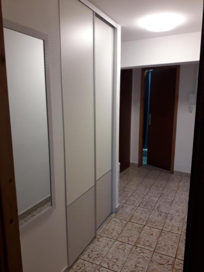 Apartments Pepe Novigrad Istria Eksteriør bilde