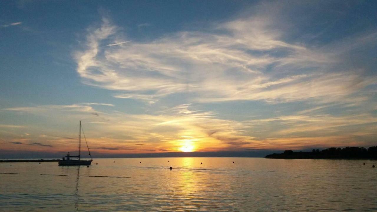 Apartments Pepe Novigrad Istria Eksteriør bilde