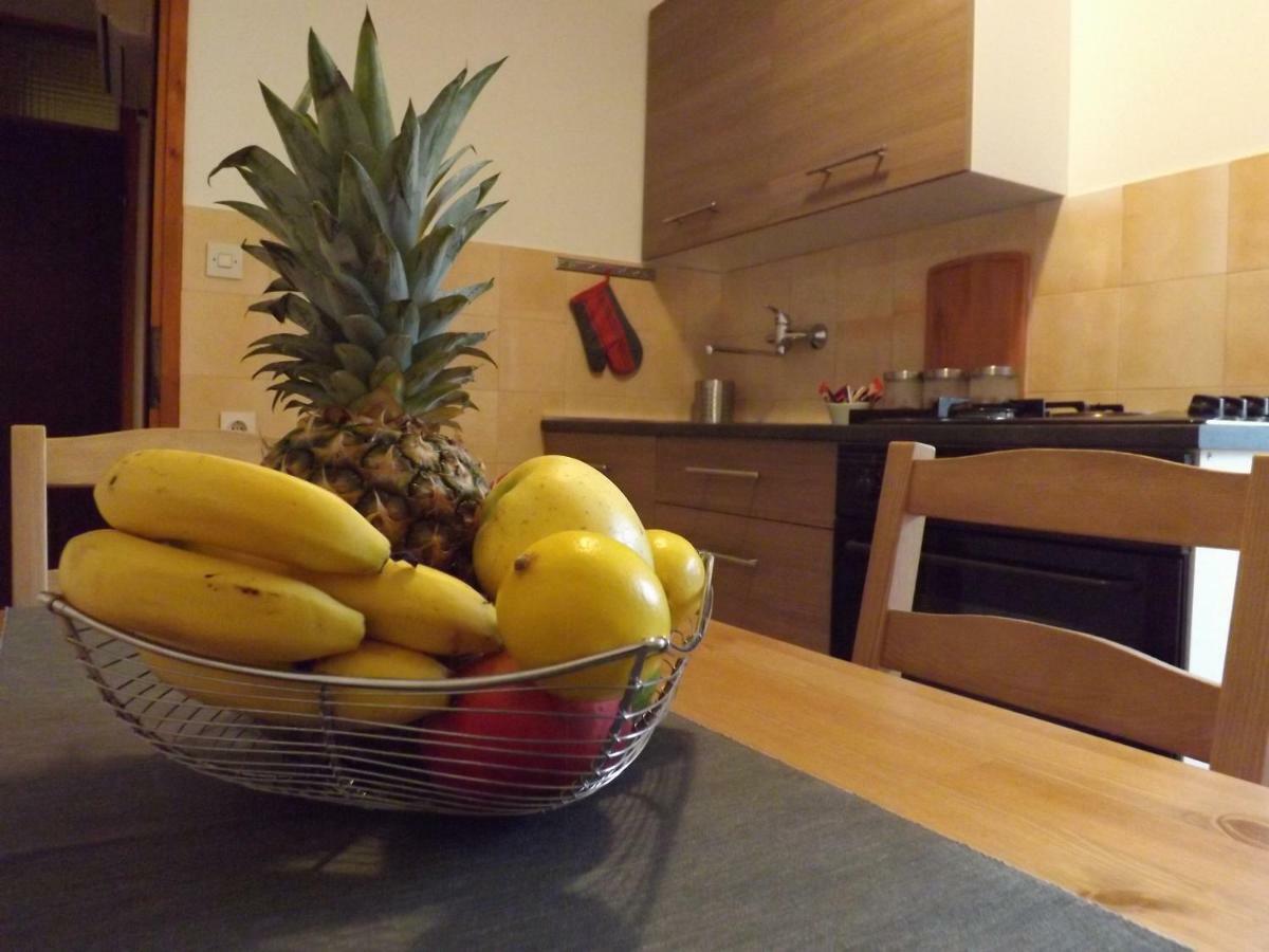 Apartments Pepe Novigrad Istria Eksteriør bilde